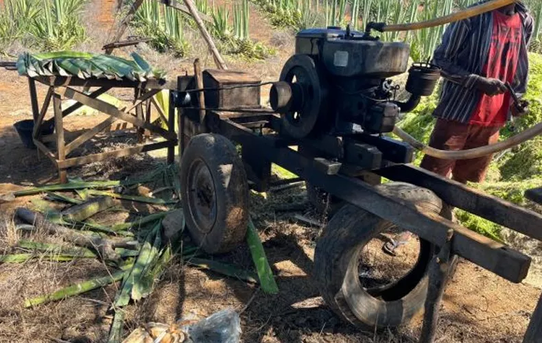Foto: Reprodução/Cidade Verde