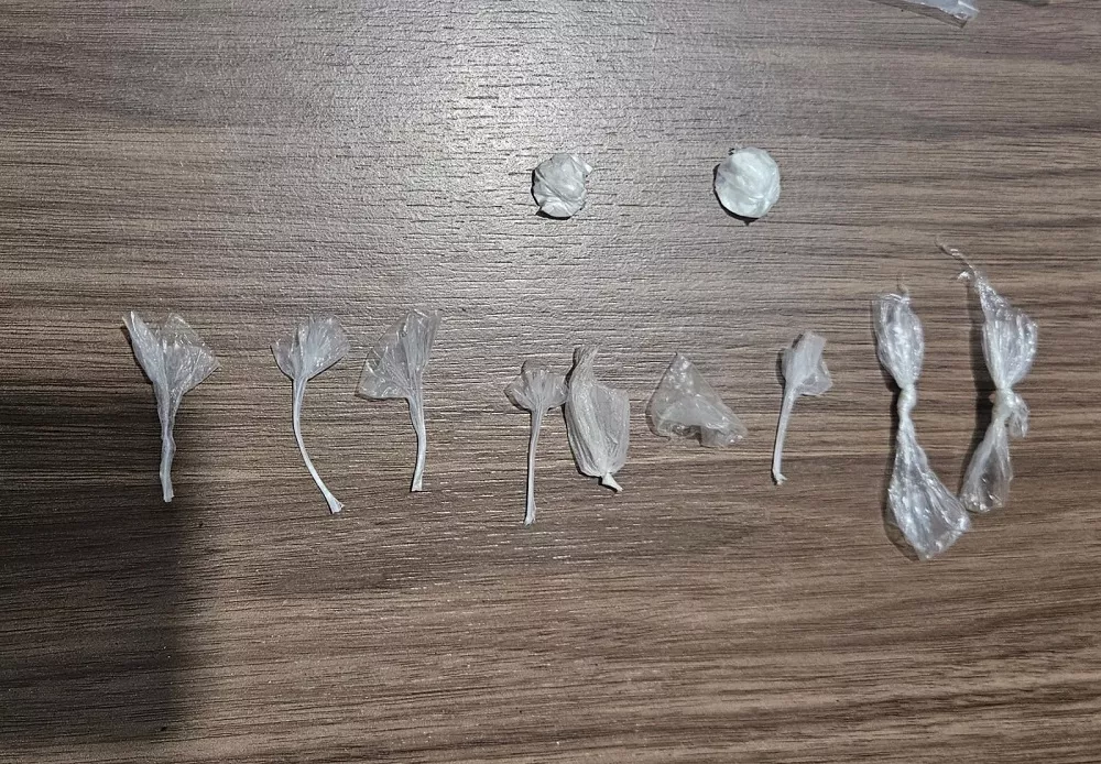 Material apreendido na operação (Foto: PM)