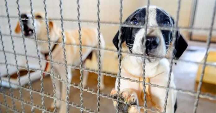 Foto ilustrativa. (Foto: Reprodução/Google)