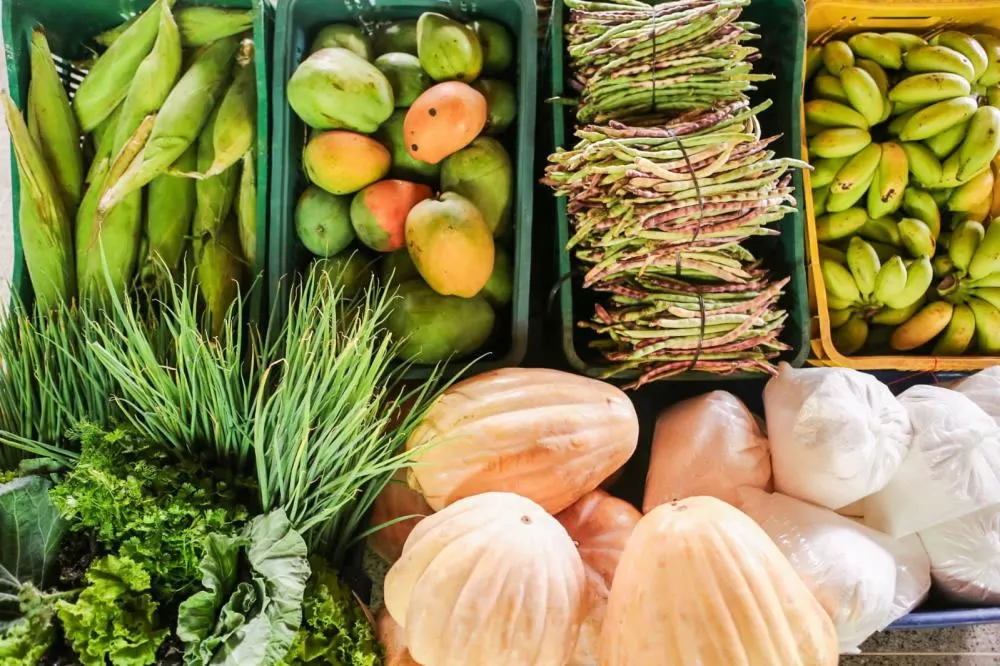 Foto: Reprodução/Google