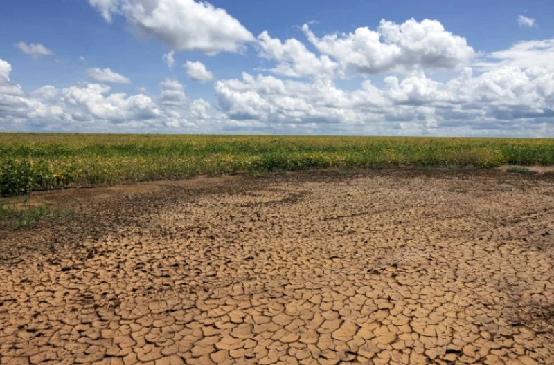 Foto: Reprodução/O Dia