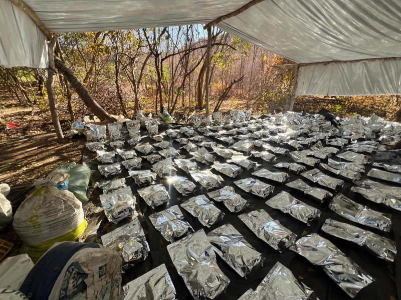 Foto: Reprodução/O Dia