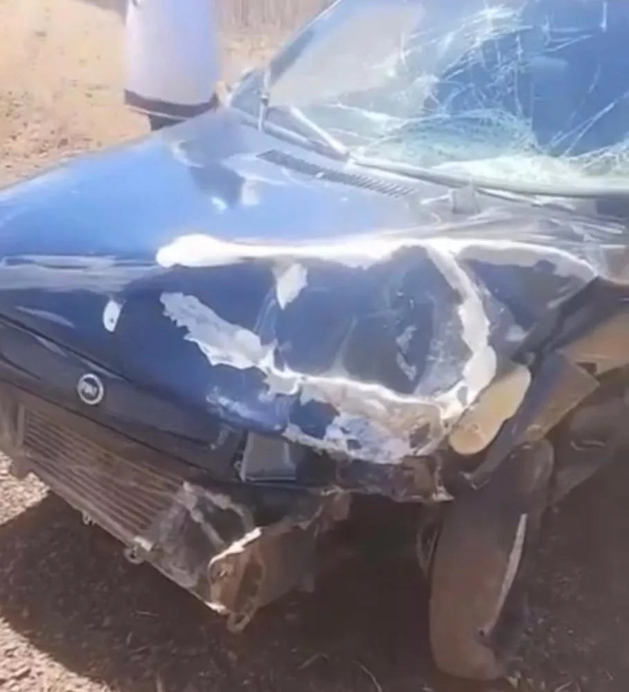 Foto: Reprodução/Cidades na net