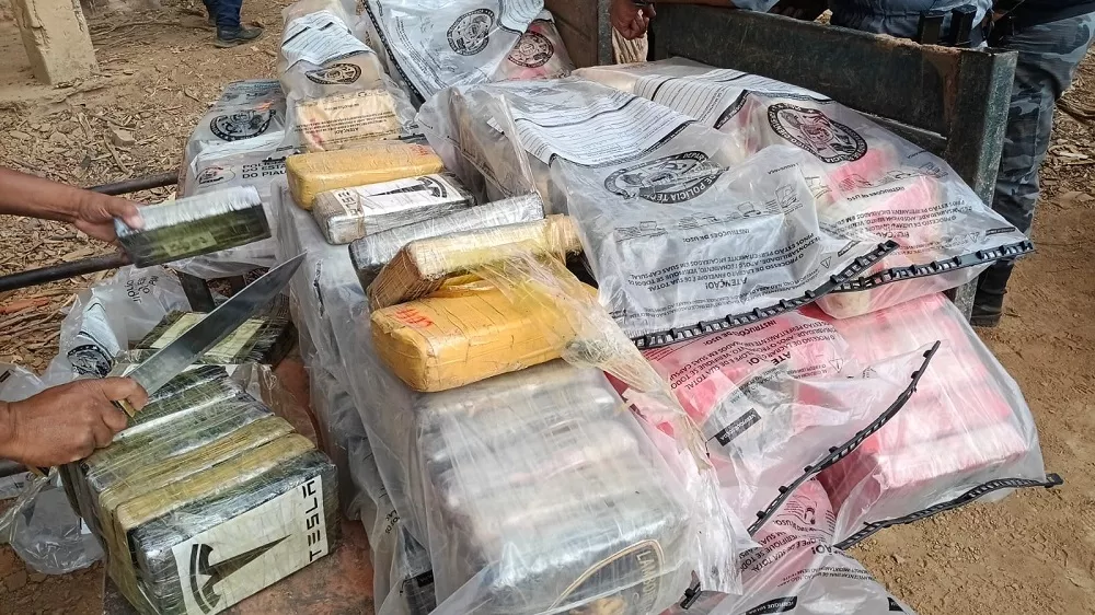 Mais de meia tonelada de drogas foram incineradas - Foto: Assis Santos 