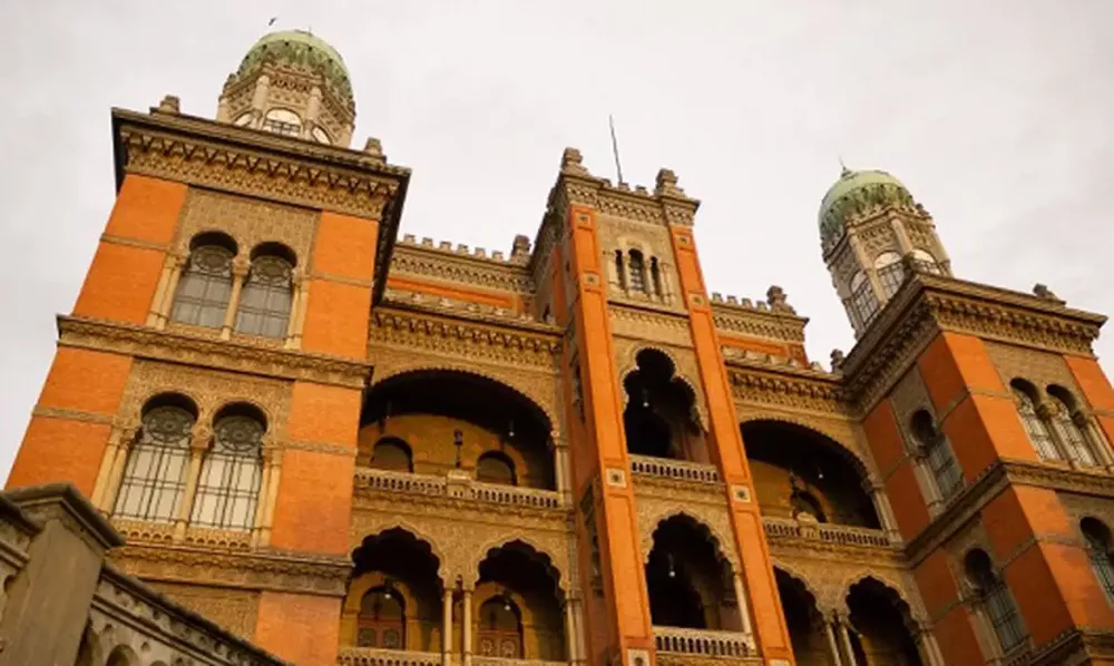 Foto: Reprodução/FIOCRUZ