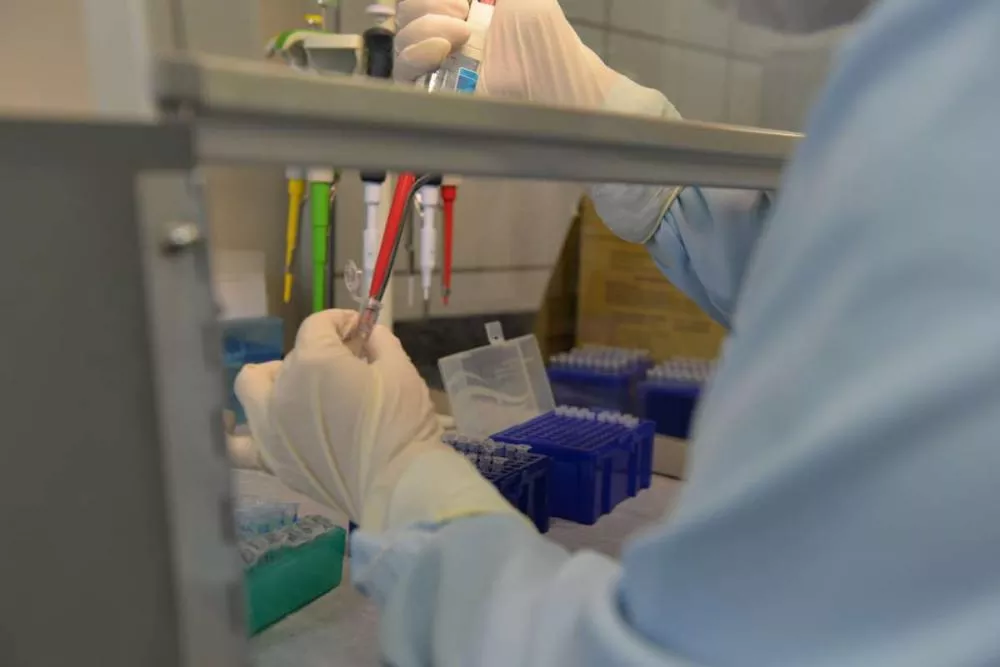 Foto: Reprodução/Google