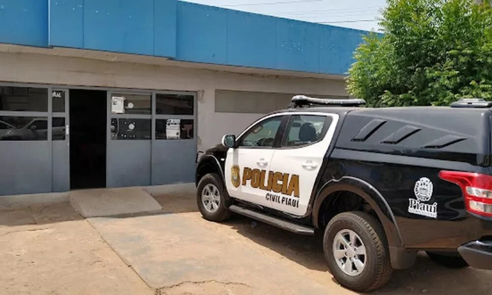 Suspeita foi presa em flagrante (Foto: Reprodução)