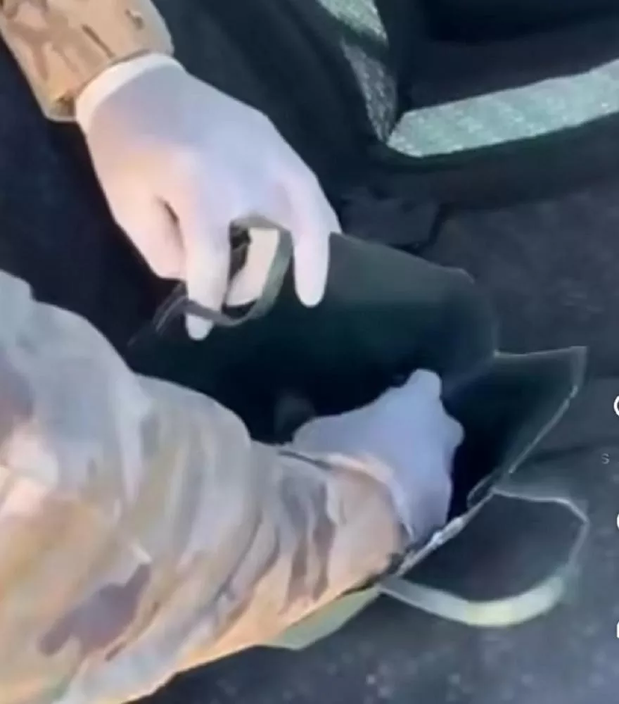 Foto: Reprodução PM