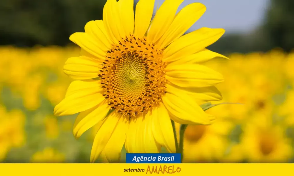 Foto: Agência Brasil