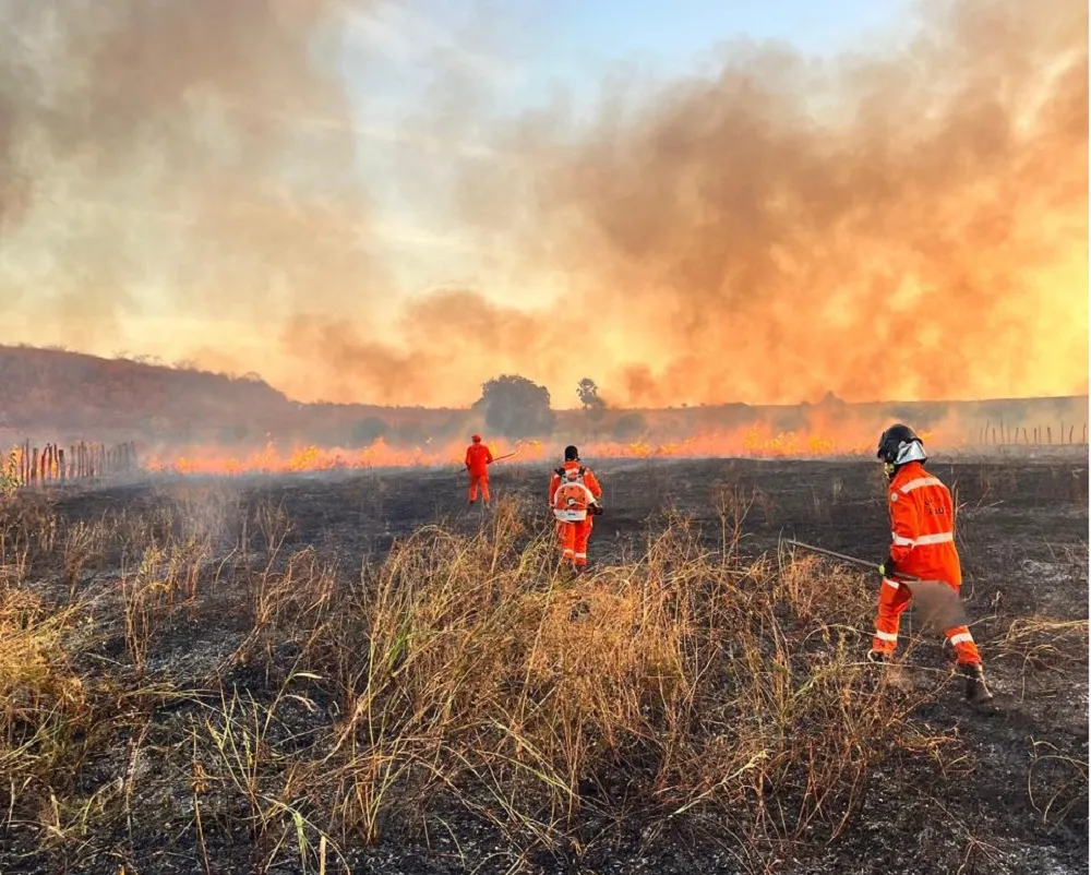 Ocorrência atendida por equipes do Corpo de Bombeiros de Picos (Foto: Arquivo do CB)