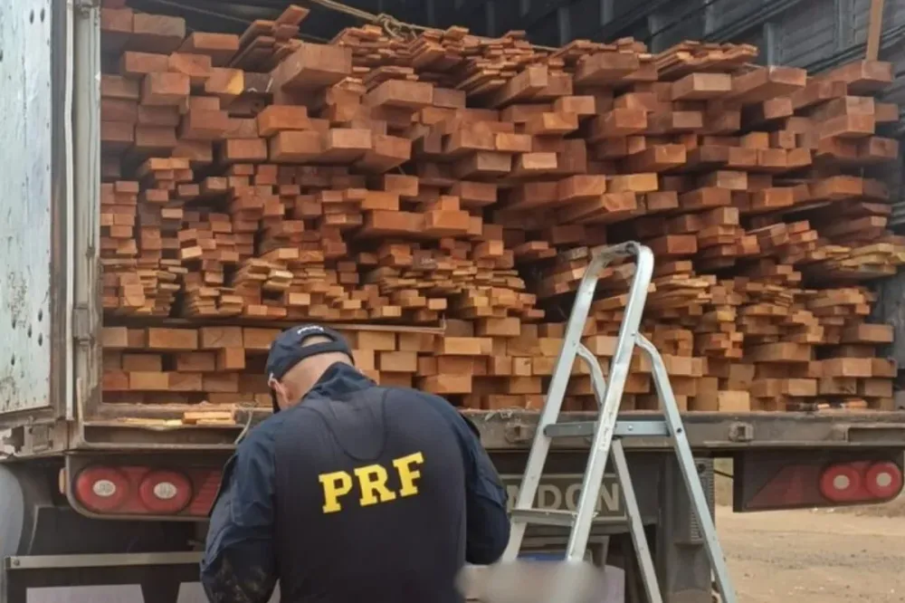 PRF apreende 37 m³ de madeira serrada irregular durante fiscalização em Picos