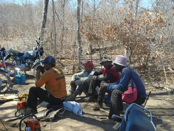 Piauí tem 17 empregadores na nova atualização da lista suja do trabalho análogo à escravidão