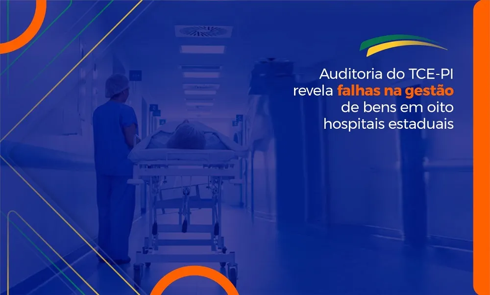 Foto: Reprodução / TCE-PI