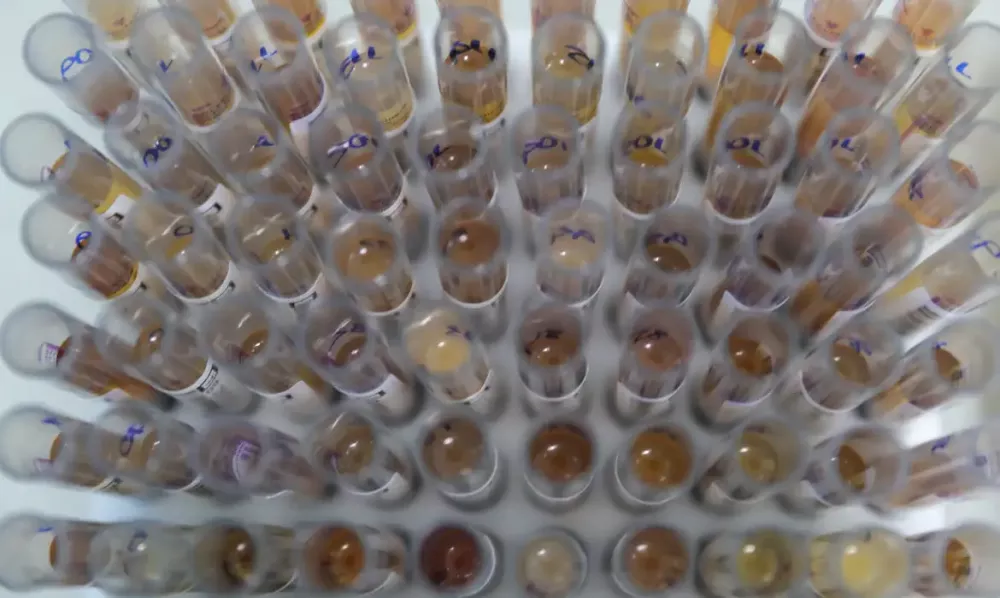 Foto: Reprodução/Agência Brasil