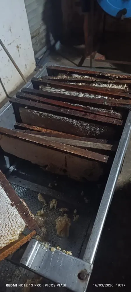 Secretaria de Agricultura acompanha apicultores e reforça apoio à produção de mel em Aroeiras do Itaim