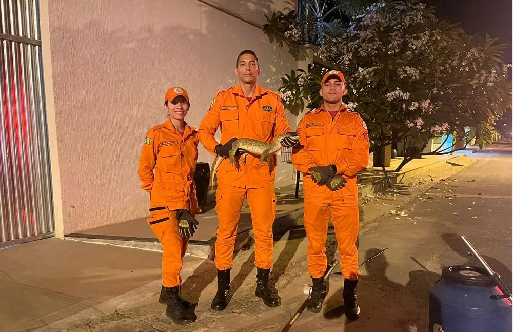 Foto: Arquivo da corporação do Corpo de Bombeiros de Picos 
