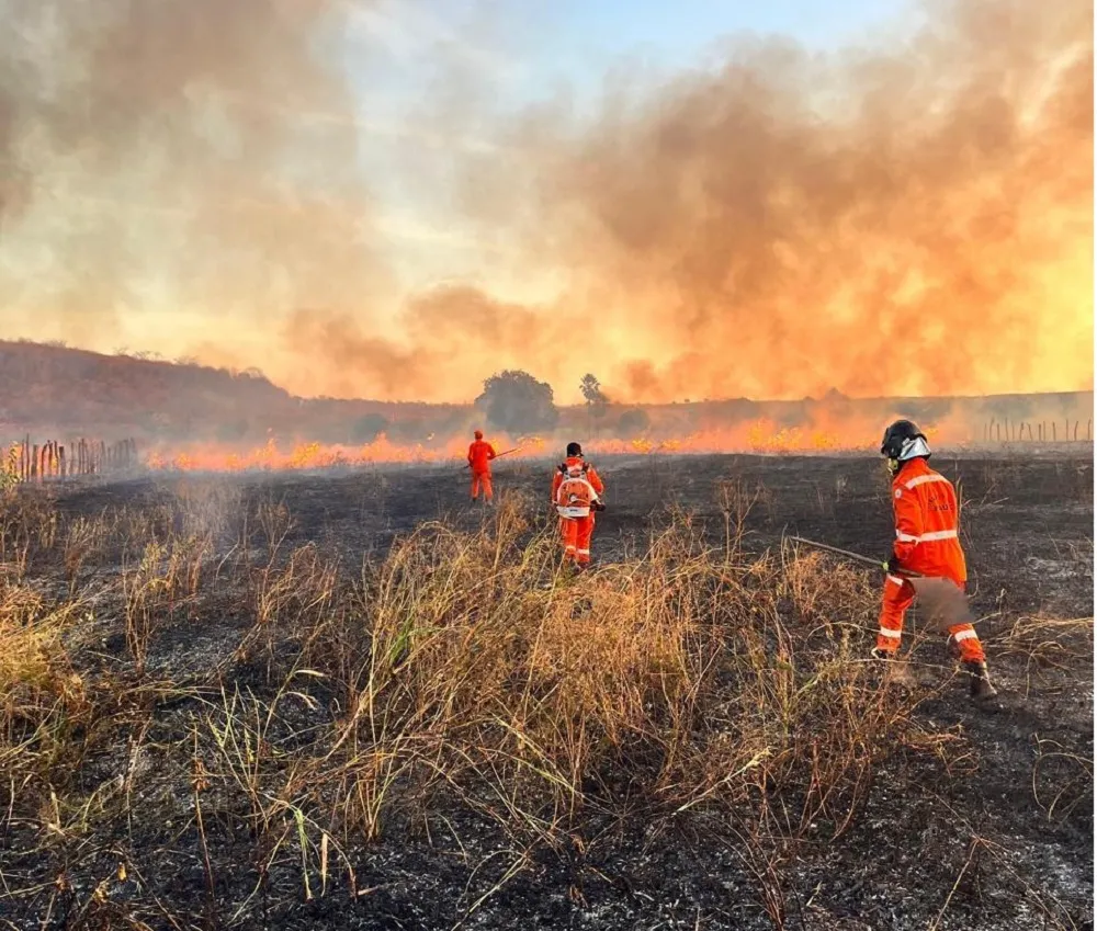 Arquivo do Corpo de Bombeiros de Picos