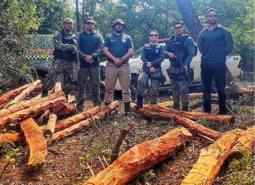 Fotos: Divulgação / Semarh