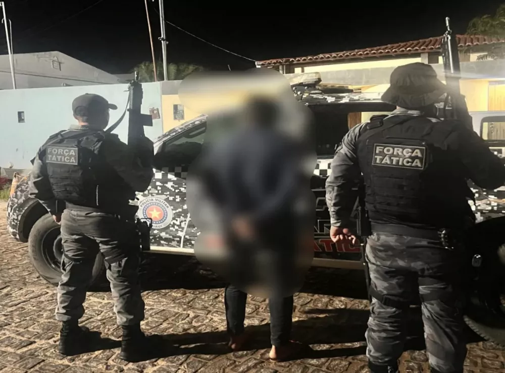 Foto: Reprodução/SSP-PI