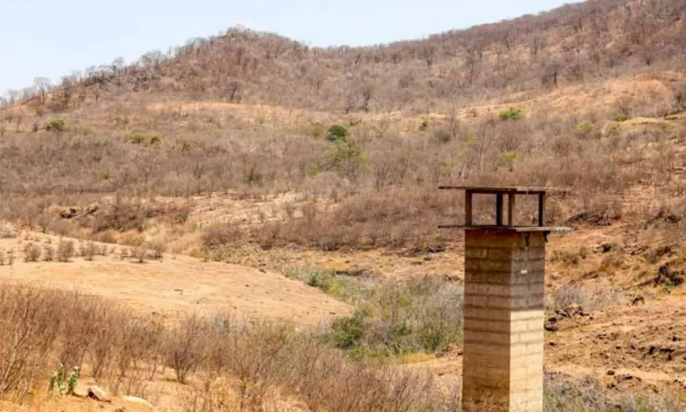 Vegetação seca no município de Santo Antônio de Lisboa – Foto: Cidades na Net.