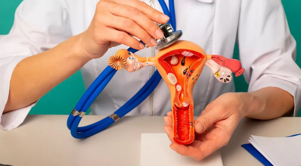 Foto: GettyImages/Reprodução CNN Brasil