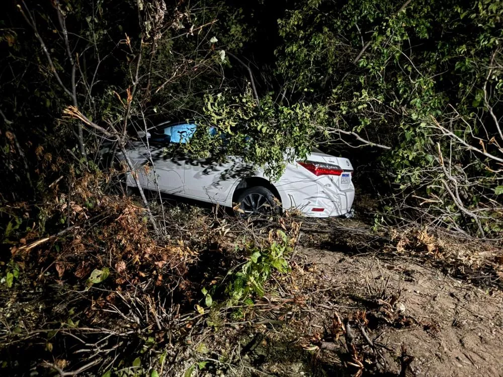Foto: Reprodução/Cidades na net