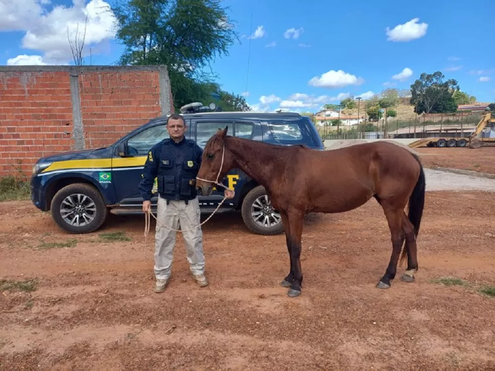 Foto: Reprodução / PRF