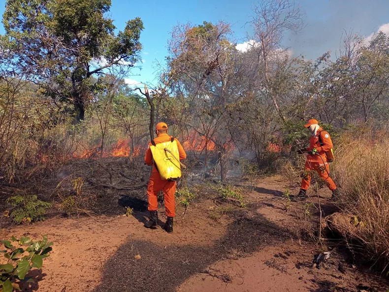 Foto: Divulgação/Bombeiros PI