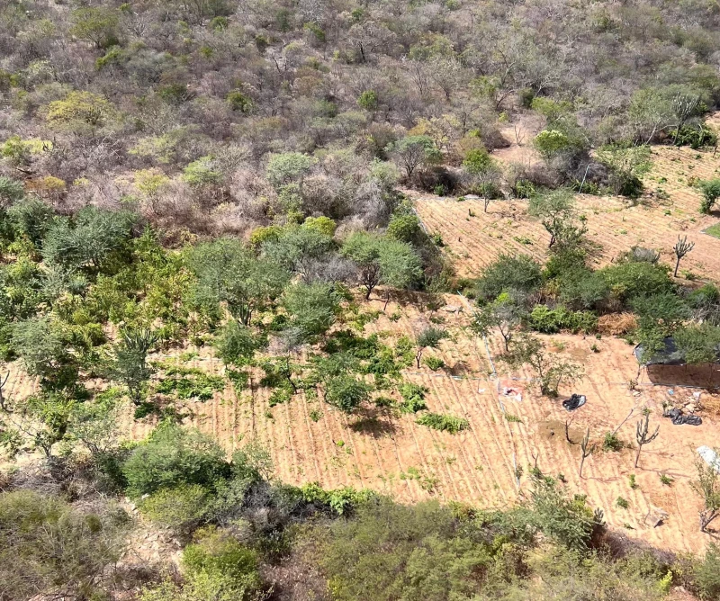 Foto: Secretaria de Segurança Pública do Piauí