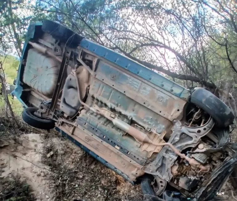 Foto: Reprodução/Cidades na net