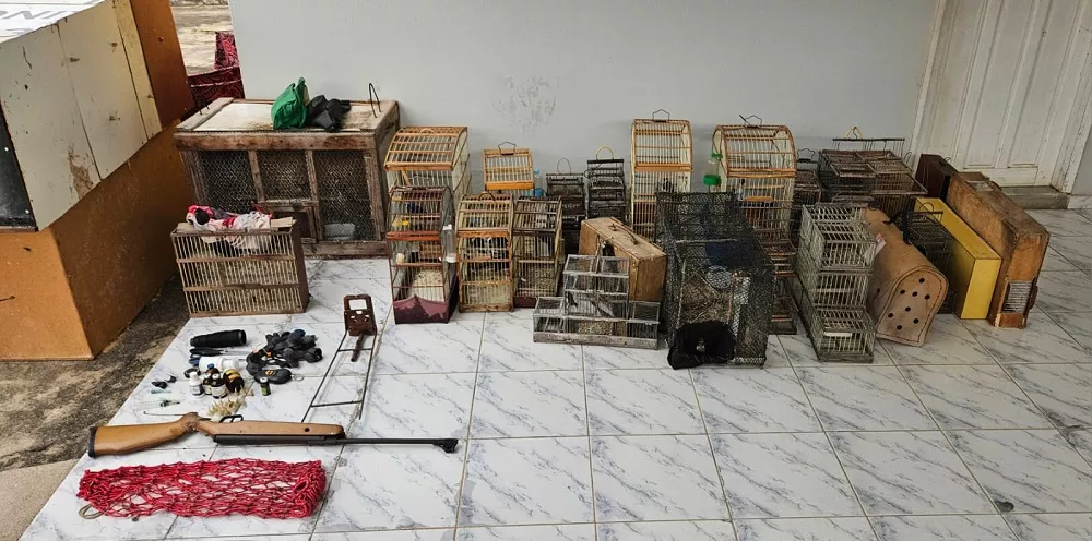 Material apreendido na operação (Foto: PM)